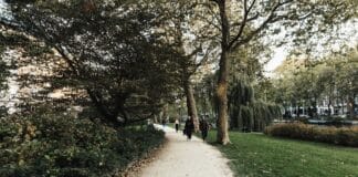 Weekend w Holandii: najciekawsze trasy spacerowe i mniej oczywiste miejsca warte odkrycia Spacerowicze w zielonym parku w słoneczny dzień w Holandii