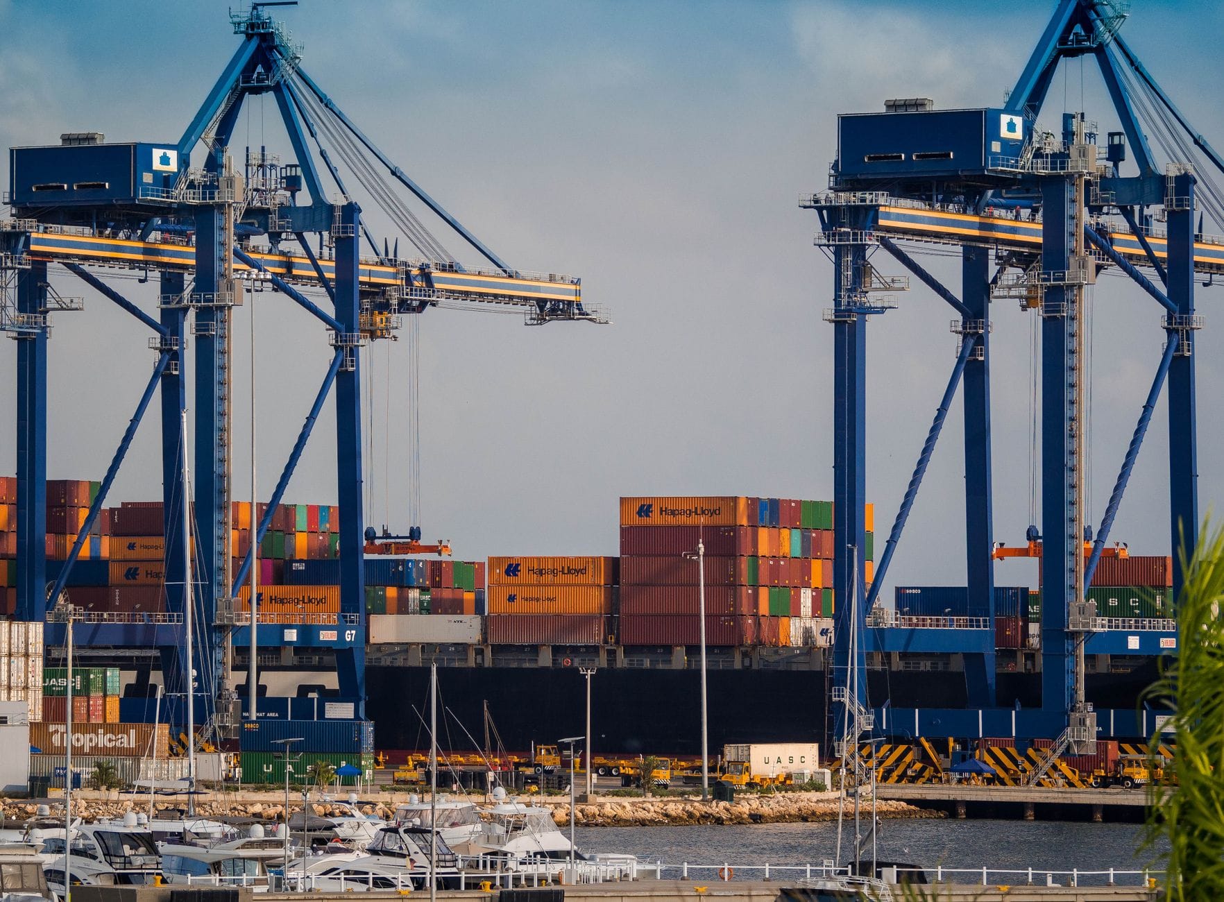 Port przemysłowy z dźwigami przeładunkowymi i kolorowymi kontenerami